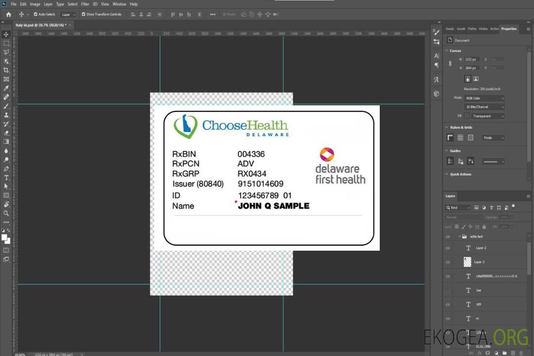 Carte d'assurance maladie du Delaware template